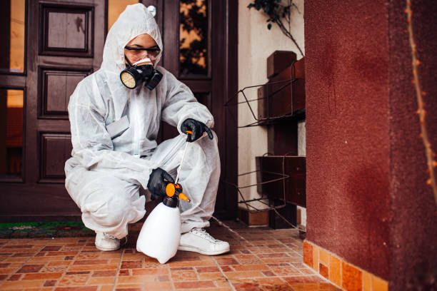 Reliable Wasp Removal contractor in East Cleveland, TN by Show Me Pest Control
