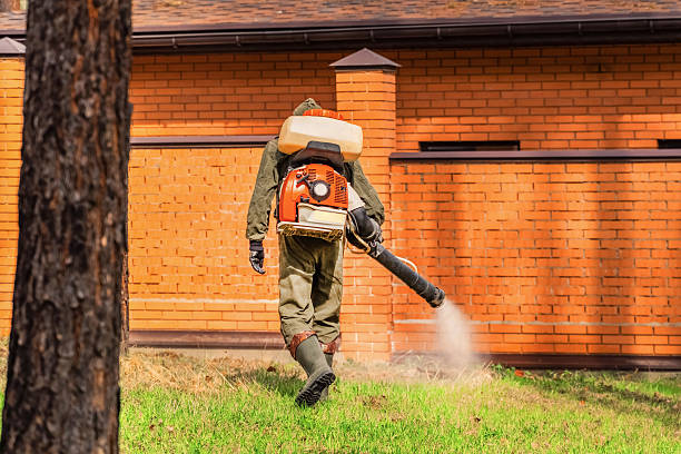 Top rated local Wasp Removal specialists in East Cleveland, TN